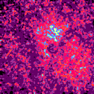 Diffuse Nebula