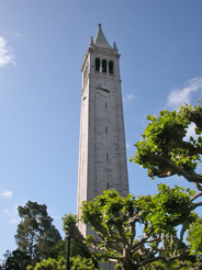 the UC Berkeley clock tower surrounded by little fluffy clouds